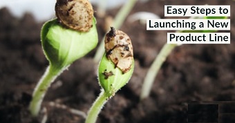 Easy Steps to Launching a New Product Line