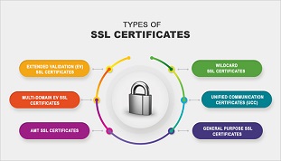 A Quick Guide On The Different Types of SSL Certificates